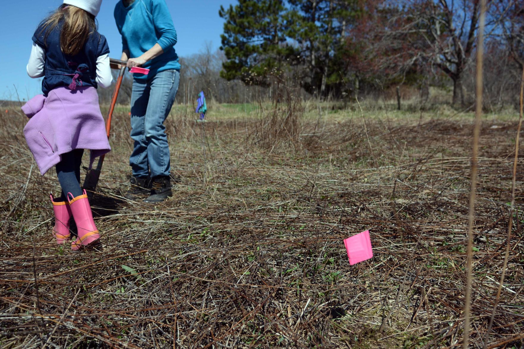 Earth Day tree planting in Baraboo Hills, April 20
